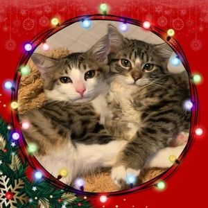 Meet your Posher, Cathy